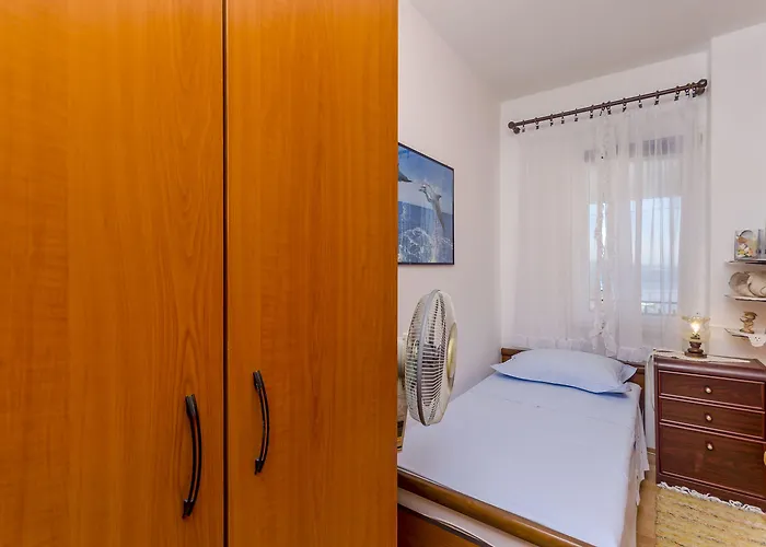 Buksa * 特罗吉尔